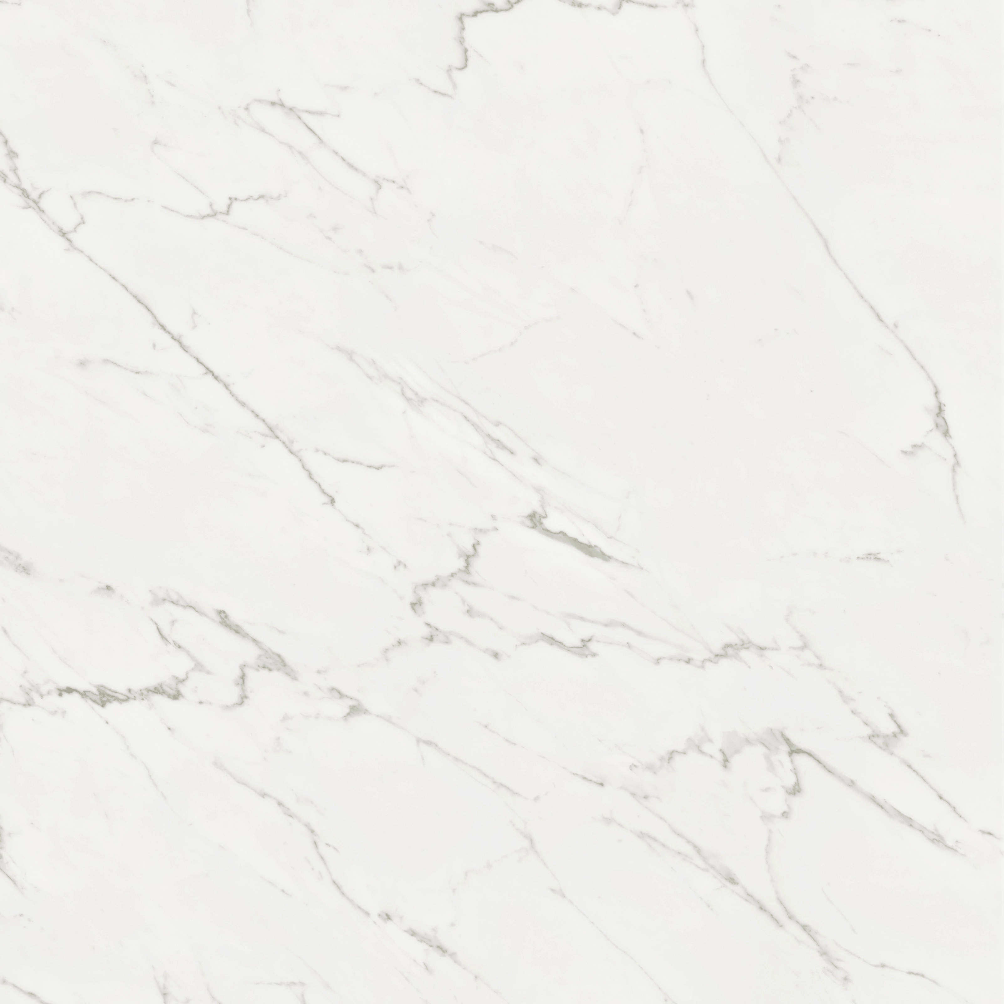 Classic Carrara flooring swatch